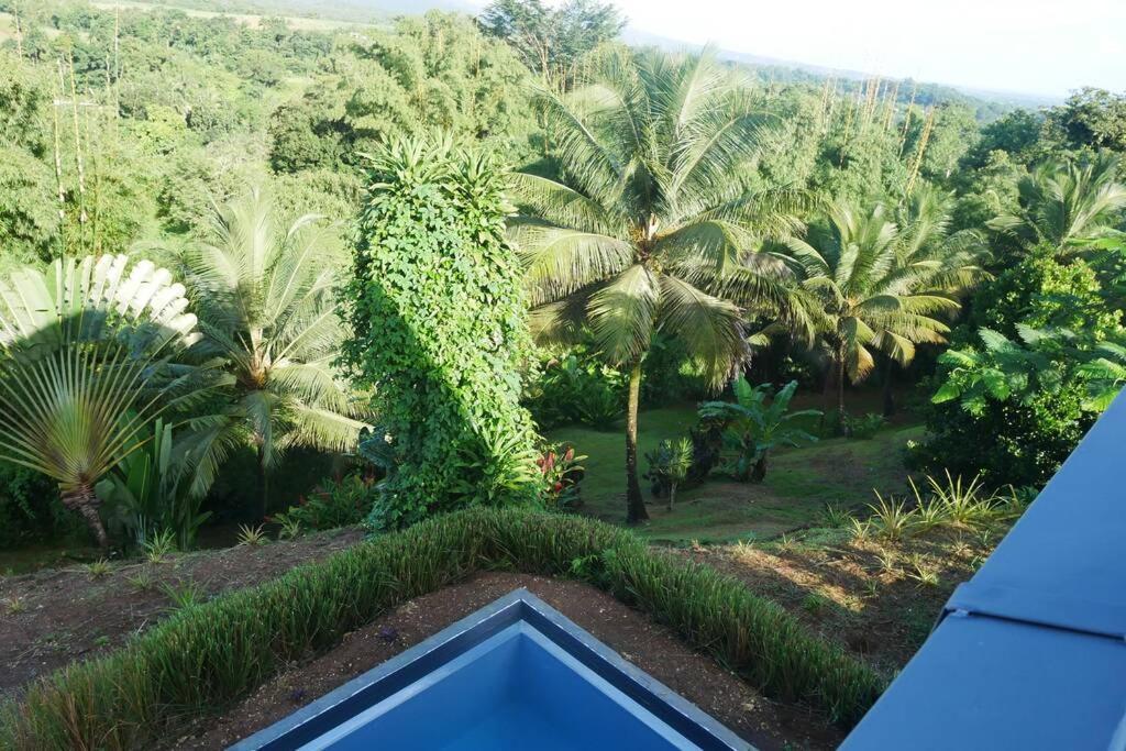 Villa Kumquat Avec Piscine Et Vue Sur Les Montagnes Petit-Bourg Bagian luar foto