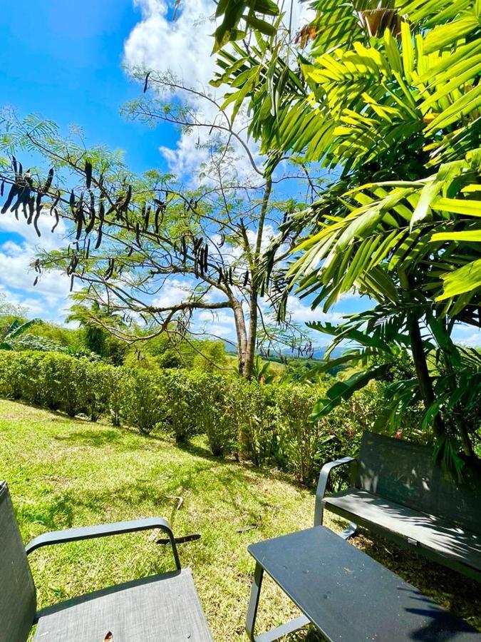 Villa Kumquat Avec Piscine Et Vue Sur Les Montagnes Petit-Bourg Bagian luar foto